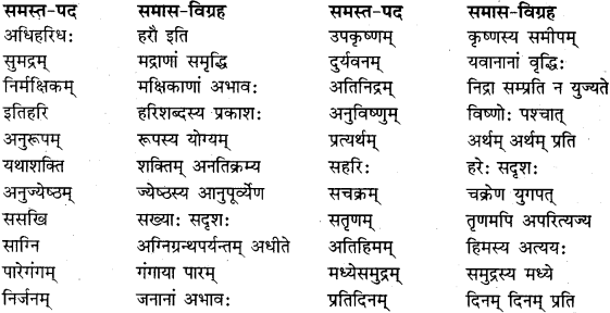 RBSE Class 11 Sanskrit व्याकरणम् समास प्रकरणम् 28