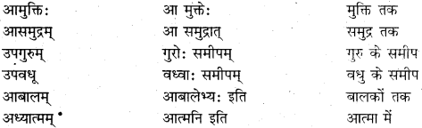 RBSE Class 11 Sanskrit व्याकरणम् समास प्रकरणम् 30
