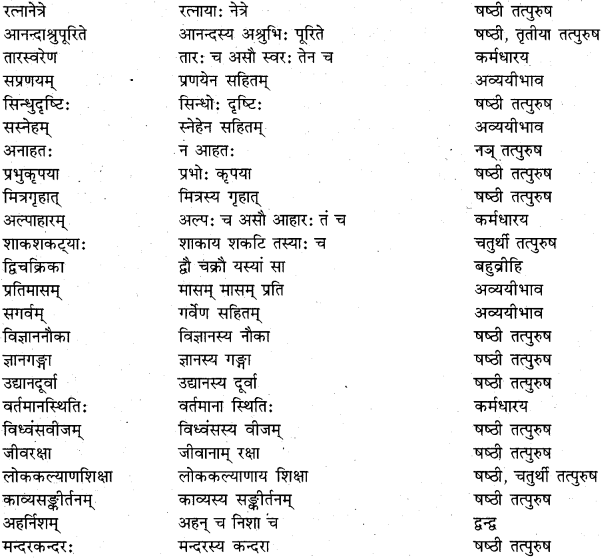 RBSE Class 11 Sanskrit व्याकरणम् समास प्रकरणम् 35