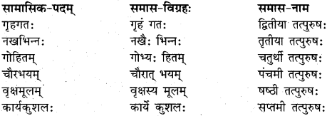 RBSE Class 11 Sanskrit व्याकरणम् समास प्रकरणम् 6