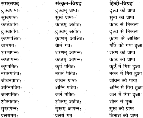 RBSE Class 11 Sanskrit व्याकरणम् समास प्रकरणम् 7