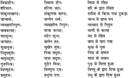 RBSE Class 11 Sanskrit व्याकरणम् समास प्रकरणम् 9
