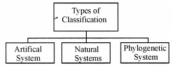 RBSE Solutions for Class 11 Biology Chapter 23 Plant Taxonomy img-2