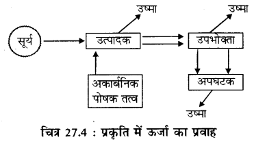 RBSE Solutions for Class 11 Biology Chapter 27 जीवन का अभिप्राय img-4