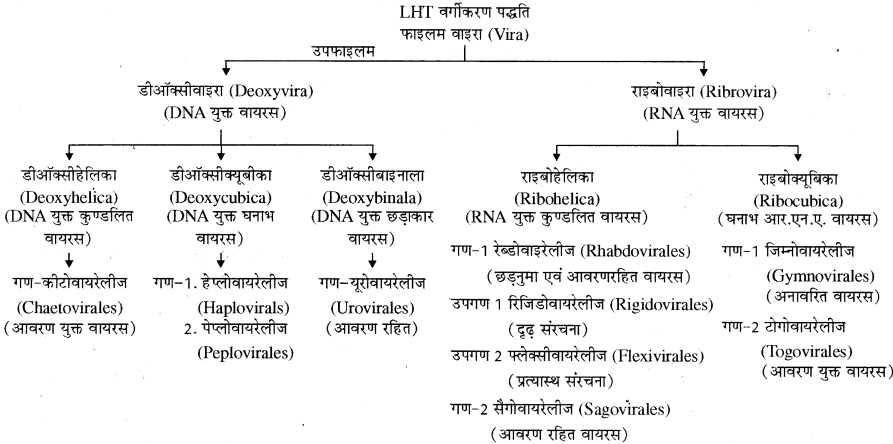 RBSE Solutions for Class 11 Biology Chapter 3 विषाणु या वाइरस img-5