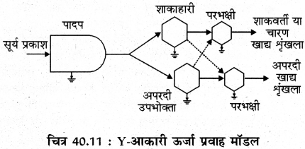 RBSE Solutions for Class 11 Biology Chapter 40 पारिस्थितिक तंत्र img-11