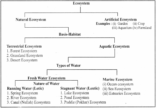 RBSE Solutions for Class 11 Biology Chapter 40 Ecosystem: Structure and Function img-7