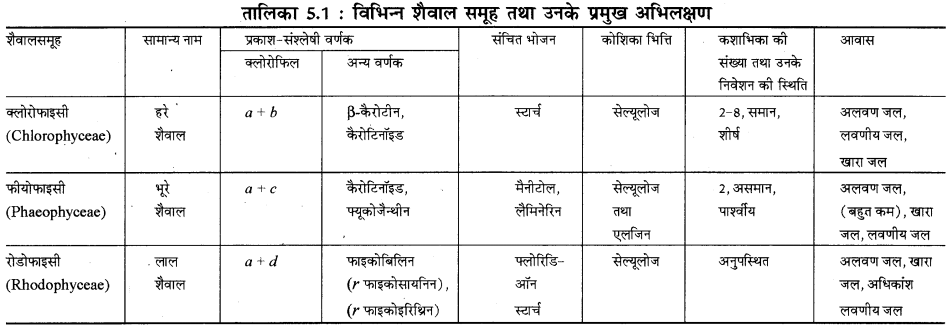 RBSE Solutions for Class 11 Biology Chapter 5 पादप जगत img-3