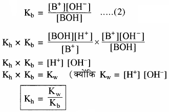 RBSE Solutions for Class 11 Chemistry Chapter 7 साम्य img 12