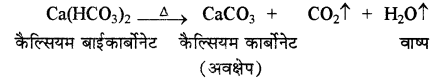 RBSE Solutions for Class 11 Chemistry Chapter 9 हाइड्रोजन img 8