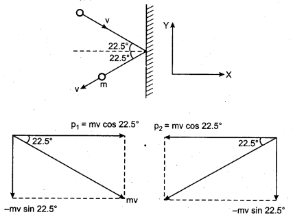 RBSE Solutions for Class 11 Physics Chapter 4 Laws of Motion 36