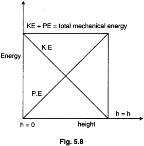 RBSE Solutions for Class 11 Physics Chapter 5 Work, Energy and Power 22