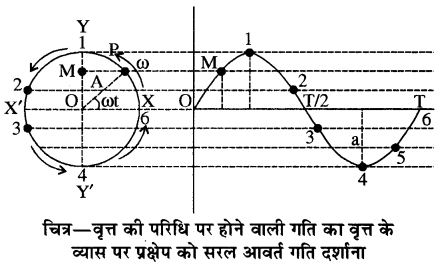 RBSE Solutions for Class 11 Physics Chapter 8 दोलन गति 10