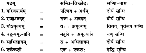 RBSE Solutions for Class 11 Sanskrit सत्प्रेरिका Chapter 10 अमूल्यं वस्तु 1