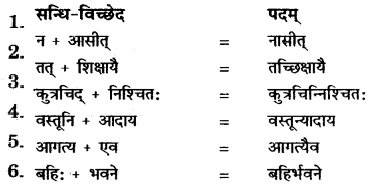 RBSE Solutions for Class 11 Sanskrit सत्प्रेरिका Chapter 10 अमूल्यं वस्तु 2