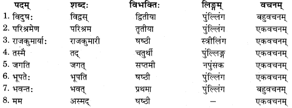 RBSE Solutions for Class 11 Sanskrit सत्प्रेरिका Chapter 10 अमूल्यं वस्तु 4
