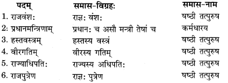 RBSE Solutions for Class 11 Sanskrit सत्प्रेरिका Chapter 10 अमूल्यं वस्तु 6
