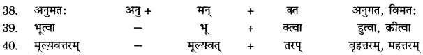 RBSE Solutions for Class 11 Sanskrit सत्प्रेरिका Chapter 10 अमूल्यं वस्तु 9