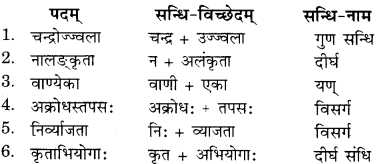 RBSE Solutions for Class 11 Sanskrit सत्प्रेरिका Chapter 11 नीत्युपदेशाः 2
