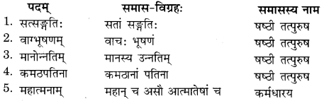 RBSE Solutions for Class 11 Sanskrit सत्प्रेरिका Chapter 11 नीत्युपदेशाः 8