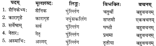 RBSE Solutions for Class 11 Sanskrit सत्प्रेरिका Chapter 12 राजस्थानस्य स्वातन्त्र्यवीर पथिकः 1