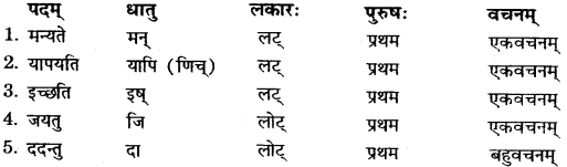 RBSE Solutions for Class 11 Sanskrit सत्प्रेरिका Chapter 12 राजस्थानस्य स्वातन्त्र्यवीर पथिकः 2