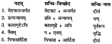 RBSE Solutions for Class 11 Sanskrit सत्प्रेरिका Chapter 12 राजस्थानस्य स्वातन्त्र्यवीर पथिकः 3