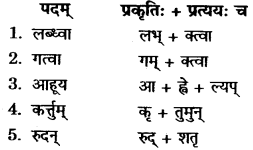 RBSE Solutions for Class 11 Sanskrit सत्प्रेरिका Chapter 12 राजस्थानस्य स्वातन्त्र्यवीर पथिकः 4