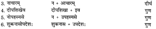 RBSE Solutions for Class 11 Sanskrit सत्प्रेरिका Chapter 13 लक्ष्मीस्वभावः 10