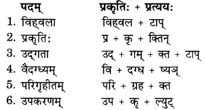 RBSE Solutions for Class 11 Sanskrit सत्प्रेरिका Chapter 13 लक्ष्मीस्वभावः 7