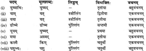 RBSE Solutions for Class 11 Sanskrit सत्प्रेरिका Chapter 14 आत्मावलोकनम् 1