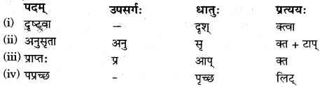 RBSE Solutions for Class 11 Sanskrit सत्प्रेरिका Chapter 14 आत्मावलोकनम् 3