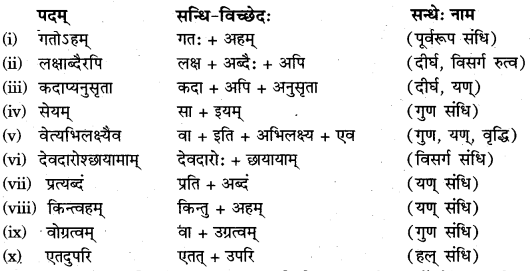 RBSE Solutions for Class 11 Sanskrit सत्प्रेरिका Chapter 14 आत्मावलोकनम् 5