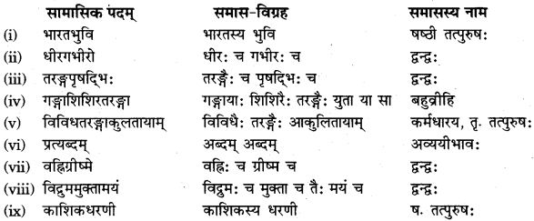 RBSE Solutions for Class 11 Sanskrit सत्प्रेरिका Chapter 14 आत्मावलोकनम् 6