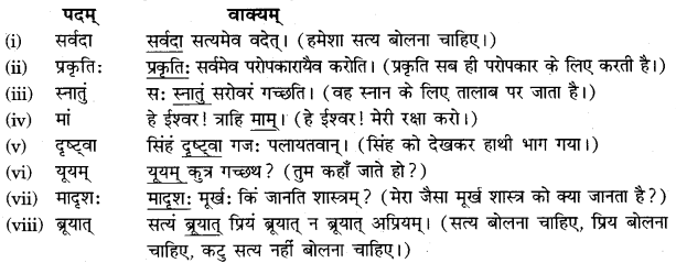 RBSE Solutions for Class 11 Sanskrit सत्प्रेरिका Chapter 14 आत्मावलोकनम् 8