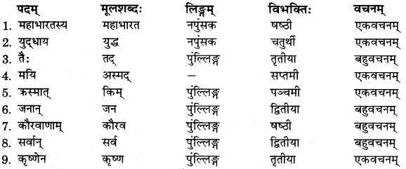 RBSE Solutions for Class 11 Sanskrit सत्प्रेरिका Chapter 15 वीर बालकः अभिमन्यु 1