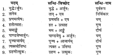 RBSE Solutions for Class 11 Sanskrit सत्प्रेरिका Chapter 15 वीर बालकः अभिमन्यु 4