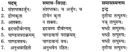 RBSE Solutions for Class 11 Sanskrit सत्प्रेरिका Chapter 15 वीर बालकः अभिमन्यु 5