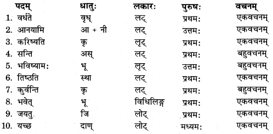 RBSE Solutions for Class 11 Sanskrit सत्प्रेरिका Chapter 16 शिष्य-परीक्षा 3