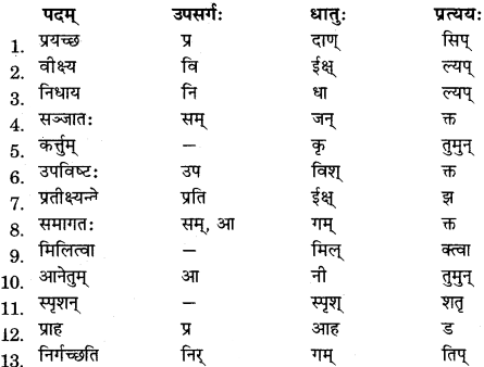 RBSE Solutions for Class 11 Sanskrit सत्प्रेरिका Chapter 16 शिष्य-परीक्षा 4