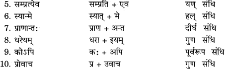 RBSE Solutions for Class 11 Sanskrit सत्प्रेरिका Chapter 16 शिष्य-परीक्षा 6