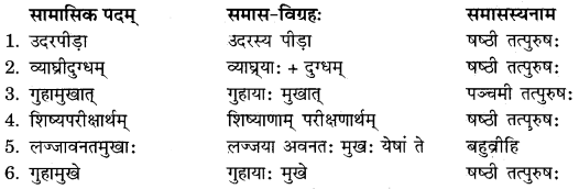RBSE Solutions for Class 11 Sanskrit सत्प्रेरिका Chapter 16 शिष्य-परीक्षा 7