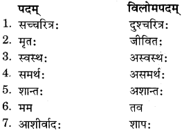 RBSE Solutions for Class 11 Sanskrit सत्प्रेरिका Chapter 16 शिष्य-परीक्षा 8