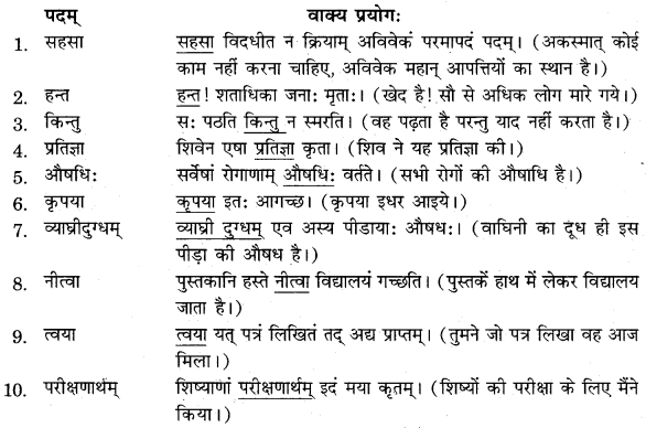 RBSE Solutions for Class 11 Sanskrit सत्प्रेरिका Chapter 16 शिष्य-परीक्षा 9