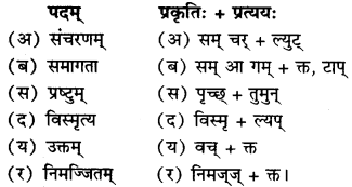 RBSE Solutions for Class 11 Sanskrit सत्प्रेरिका Chapter 17 इदं न मम 2