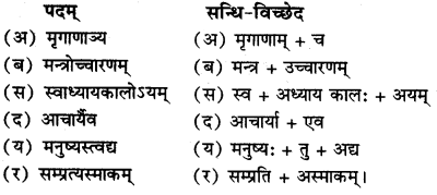 RBSE Solutions for Class 11 Sanskrit सत्प्रेरिका Chapter 17 इदं न मम 4