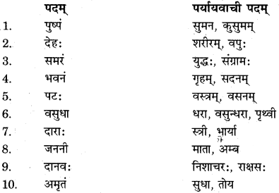 RBSE Solutions for Class 11 Sanskrit सत्प्रेरिका Chapter 2 राष्ट्र वन्दना 10