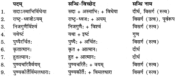 RBSE Solutions for Class 11 Sanskrit सत्प्रेरिका Chapter 2 राष्ट्र वन्दना 5