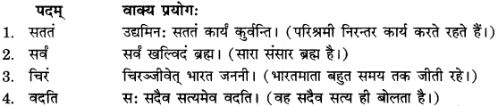 RBSE Solutions for Class 11 Sanskrit सत्प्रेरिका Chapter 2 राष्ट्र वन्दना 7