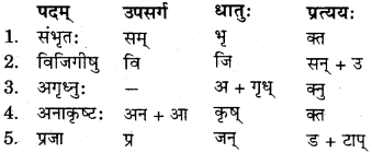 RBSE Solutions for Class 11 Sanskrit सत्प्रेरिका Chapter 3 आदर्श जीवनम् 2